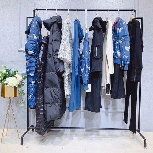 唯愛秋冬裝 達衣巖女裝新款羽絨服引領(lǐng)北方服裝市場潮流